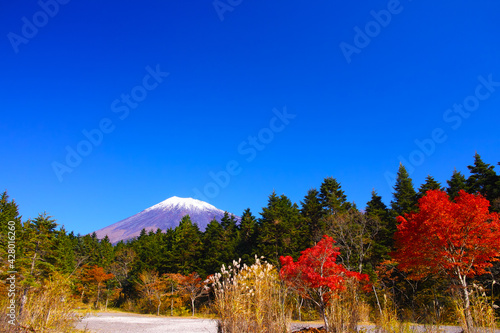 紅葉シーズンの富士山 富士宮市の富士スカイライン西臼塚駐車場から見る風景 Wall Mural 7maru