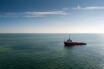 Kwitnące sinice w Morzu Bałtyckim / Blooming cyanobacteria in the Baltic Sea © LukaszB