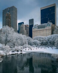 A snowy winter day at The Pond, in Central Park, New York City
