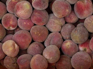 Roter Mosel-Weinbergpfirsich / Blutpfirsich