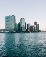 Fototapeta na wymiar View of Long Island City from Roosevelt Island, in Manhattan, New York City