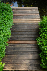 The wooden pathway in the garden has fresh green leaves on both sides. Vertical direction image for background.