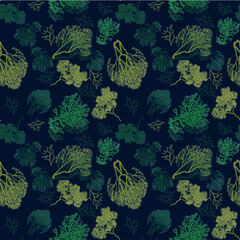 seamless pattern corals, marine plants pattern, hand-drawn pattern