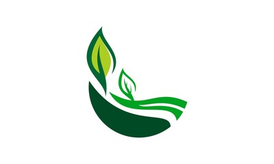 ecology nature grow up leaf