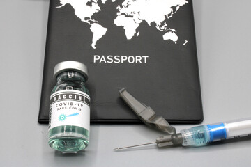 Passport next to a syringe and a vaccine vial