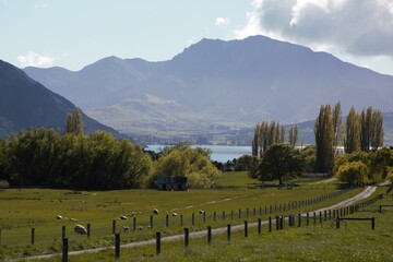landscape with fence and mountains