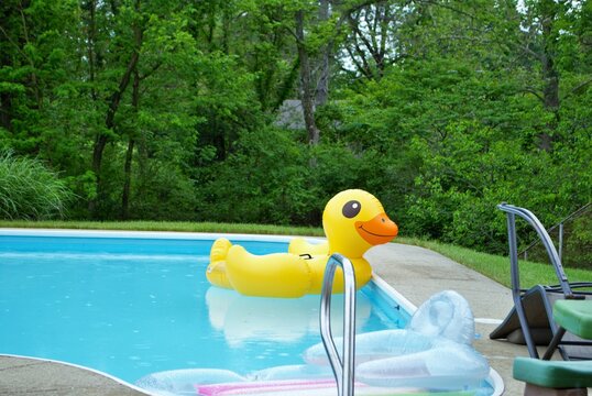 Yellow Duck Inflatable Floating In A Backyard Swimming Pool