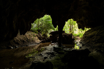 View from inside the limestone cave with water in the soil and the lush natural vegetation of the jungle on the island of Iriomote, Okinawa.