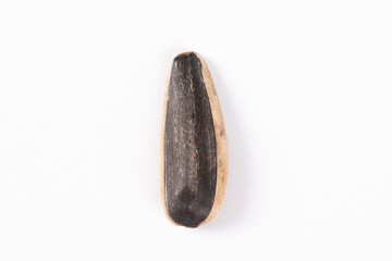 close up of a sunflower seed isolated on white background