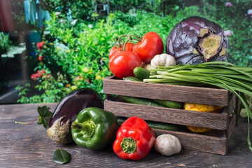 assorted fresh vegetables in a wooden box