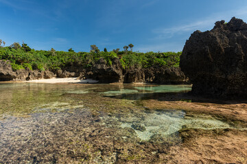 View from the coral reef to the beach. Coral platform in the low tide showing natural pools, deserted beach, rock formation in the background and natural vegetation around the coast of Iriomote Island
