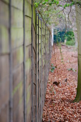 old high wooden fence at the edge of the forest