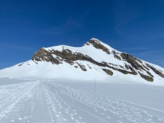 Glacier Walk - Marked glacier trail from Scex Rouge station to Quille du Diable (Travel destination...
