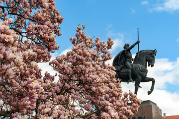 Low angle view of beautiful magnolia tree against blue sky. Statue, city, Zagreb, Croatia.