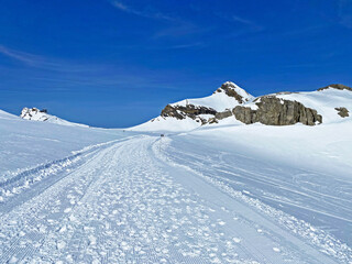 Glacier Walk - Marked glacier trail from Scex Rouge station to Quille du Diable (Travel destination...