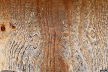 Obraz premium Wood panel grain