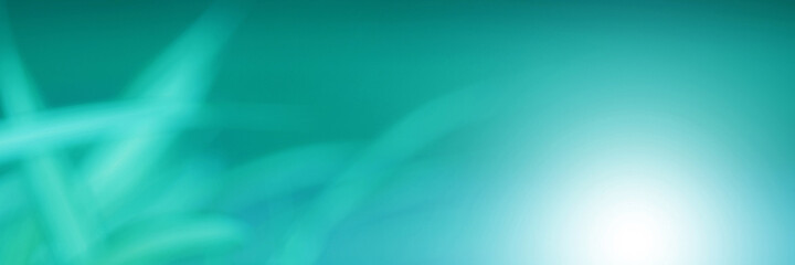 Light blue Leaf background. Blurred leaves and circular bokeh. Abstract for design and wallpaper.