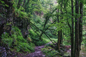 Romantic hiking path alongside the river erlau in Kellberg near passau, lower bavaria, germany