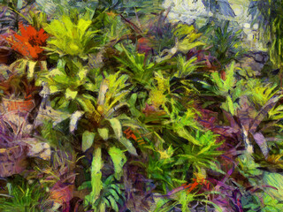 An ornamental shrub with beautiful leaves and various shapes Illustrations creates an impressionist style of painting.