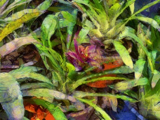 An ornamental shrub with beautiful leaves and various shapes Illustrations creates an impressionist style of painting.