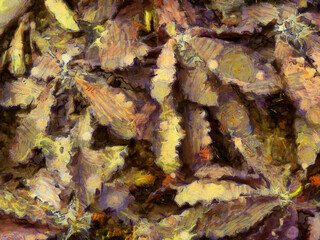 An ornamental shrub with beautiful leaves and various shapes Illustrations creates an impressionist style of painting.