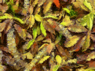 Obraz premium An ornamental shrub with beautiful leaves and various shapes Illustrations creates an impressionist style of painting.