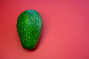 Fresh avocado  on tile color background