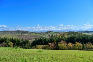 美瑛の丘で見た青空バックの十勝連峰と広大な畑のコラボ情景＠北海道