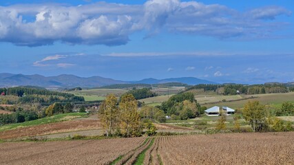 Fototapeta na wymiar 収穫を迎えた美瑛の丘の秋の情景＠北海道