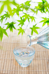 青もみじと冷酒　夏イメージ