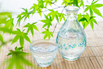 青もみじと冷酒　夏イメージ