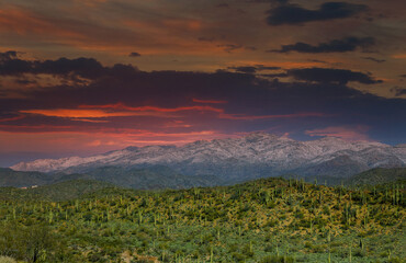 Arizona desert landscape with snow covered mountains in the cactus at sunset