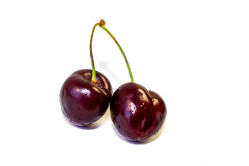 Isolated on White Cherry Background