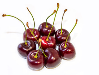 Isolated on White Cherry Background