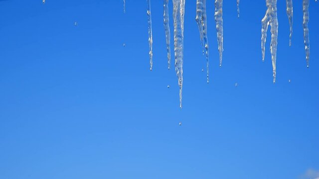 drops falling from melting icicles against a blue sky 