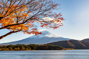 Fuji Mountain and Maple Leaves in Autumn, Kawaguchiko Lake, Japan