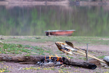 Grilled fish in adventure style