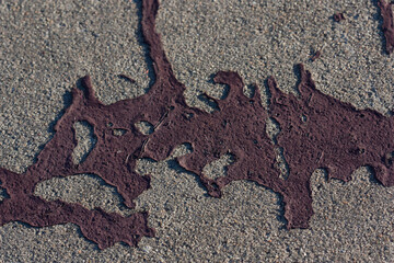 Paint Splatter Texture