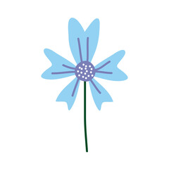 blue spring flower