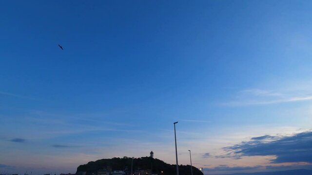 江の島の夕空をとぶトンビ