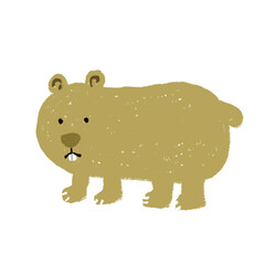 ウォンバット　オーストラリアの動物