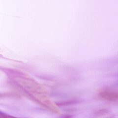 Purple Leaf background. Blurred leaves and circular bokeh. Abstract for design and wallpaper.