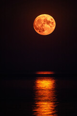 Super full blood moon and moon light over the sea © Dmitrii Potashkin