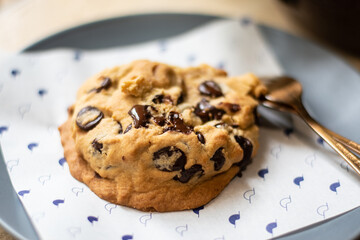 chocolate chip cookie