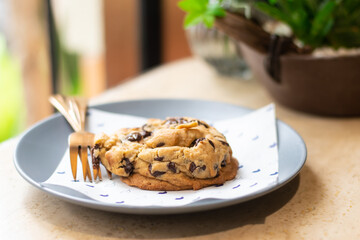 chocolate chip cookie