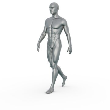 3D Render : Silver male model character is walking on the white background