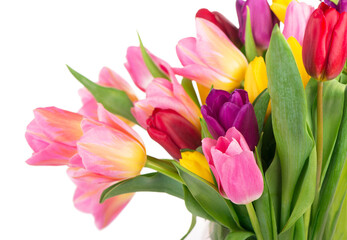 Many beautiful colorful tulips with leaves in a glass vase isolated on transparent background. Horizontal photo with fresh spring flowers for any festive design