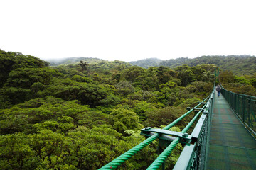 Puente colgante en medio de un espeso bosque en Costa Rica