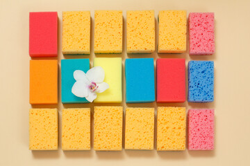 Sponges of different colors on a beige background.