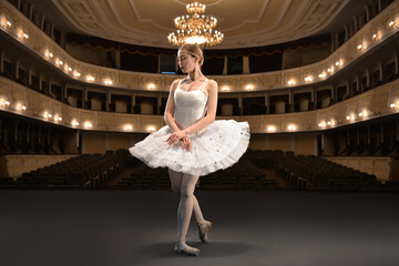 Beautiful young ballerina dancing in theatre © Pixel-Shot